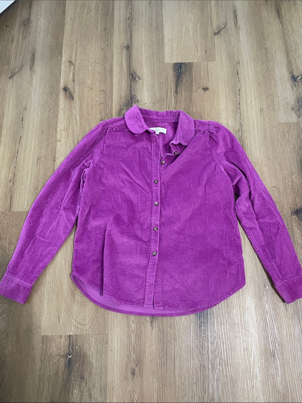 LOFT Fuchsia Corduroy Button-Down Shirt